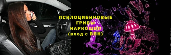 ПСИЛОЦИБИНОВЫЕ ГРИБЫ Иннополис
