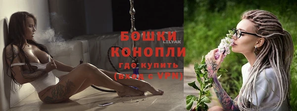 метадон Инта