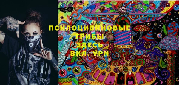спиды Инсар